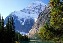 Pizza: Its Revolutionary Journey and What It Means for Our Future