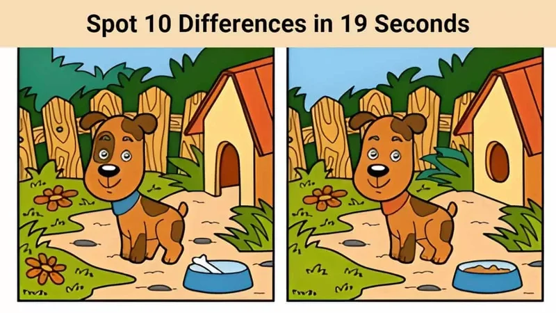 SPOT Stock: What's Behind the Volatility?